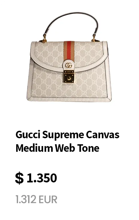 Gucci bag